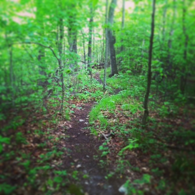 10358328_248852965318295_57029763_n